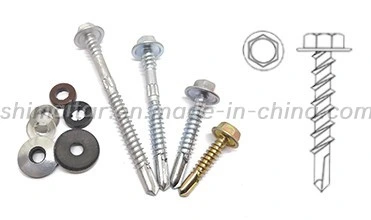 Metal Concrete Stainless Steel Window Flat Countersunk Wafer Button Pan Truss Hex Head Color Painted Roofing Drill Tail Self Drilling Screw with EPDM Washer